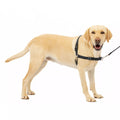 PetSafe Easy Walk Dog Harness - Black