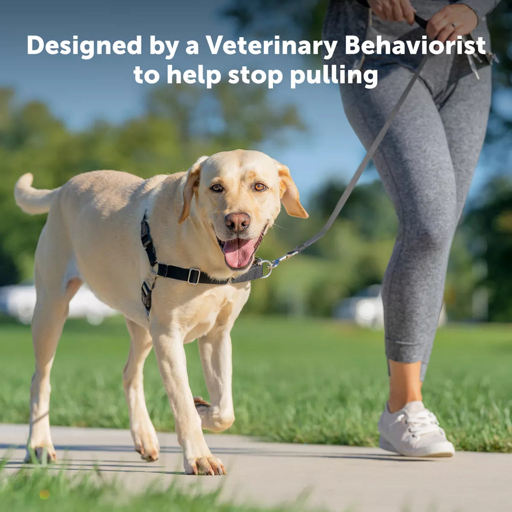 PetSafe Easy Walk Dog Harness - view 2