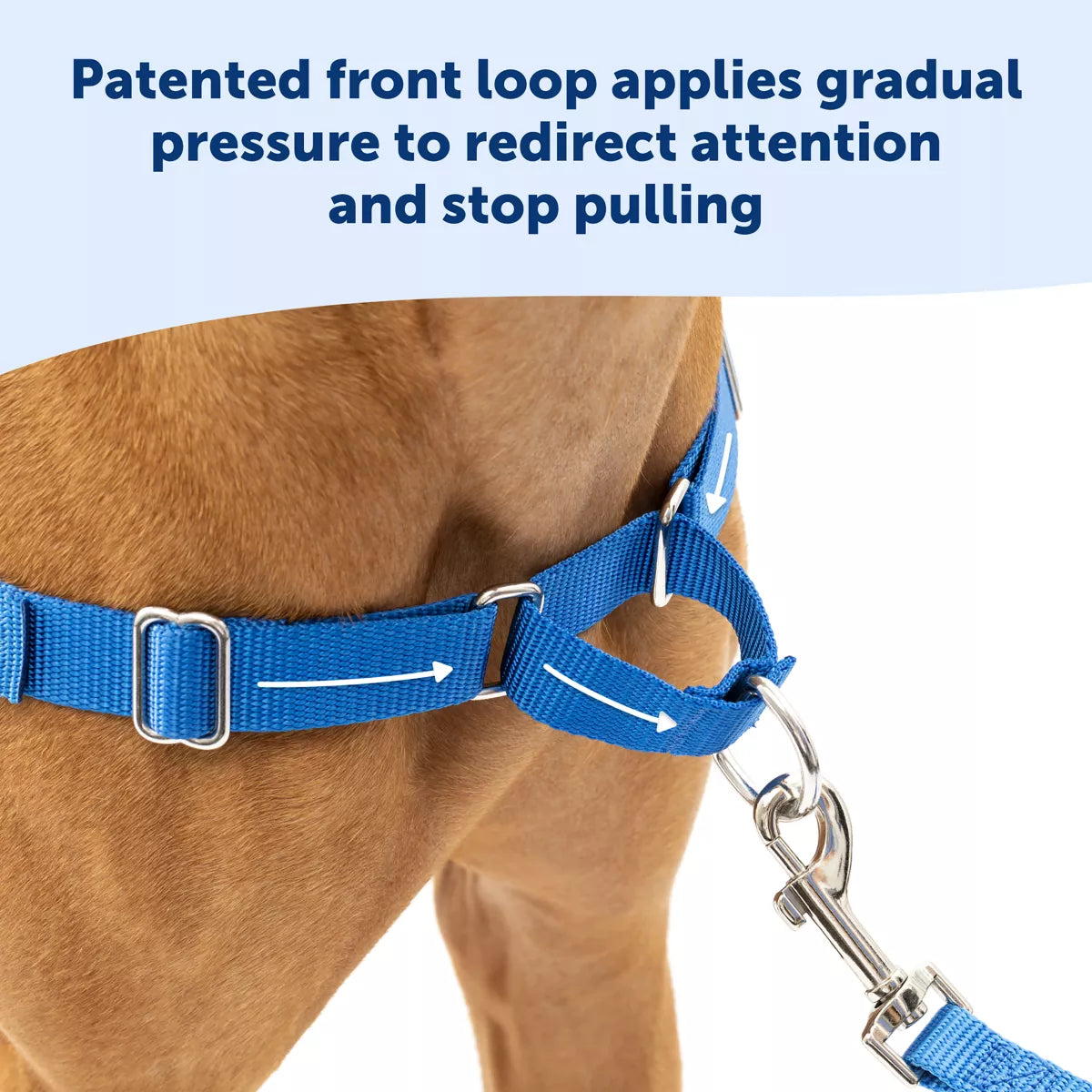 PetSafe Easy Walk Dog Harness - view 3