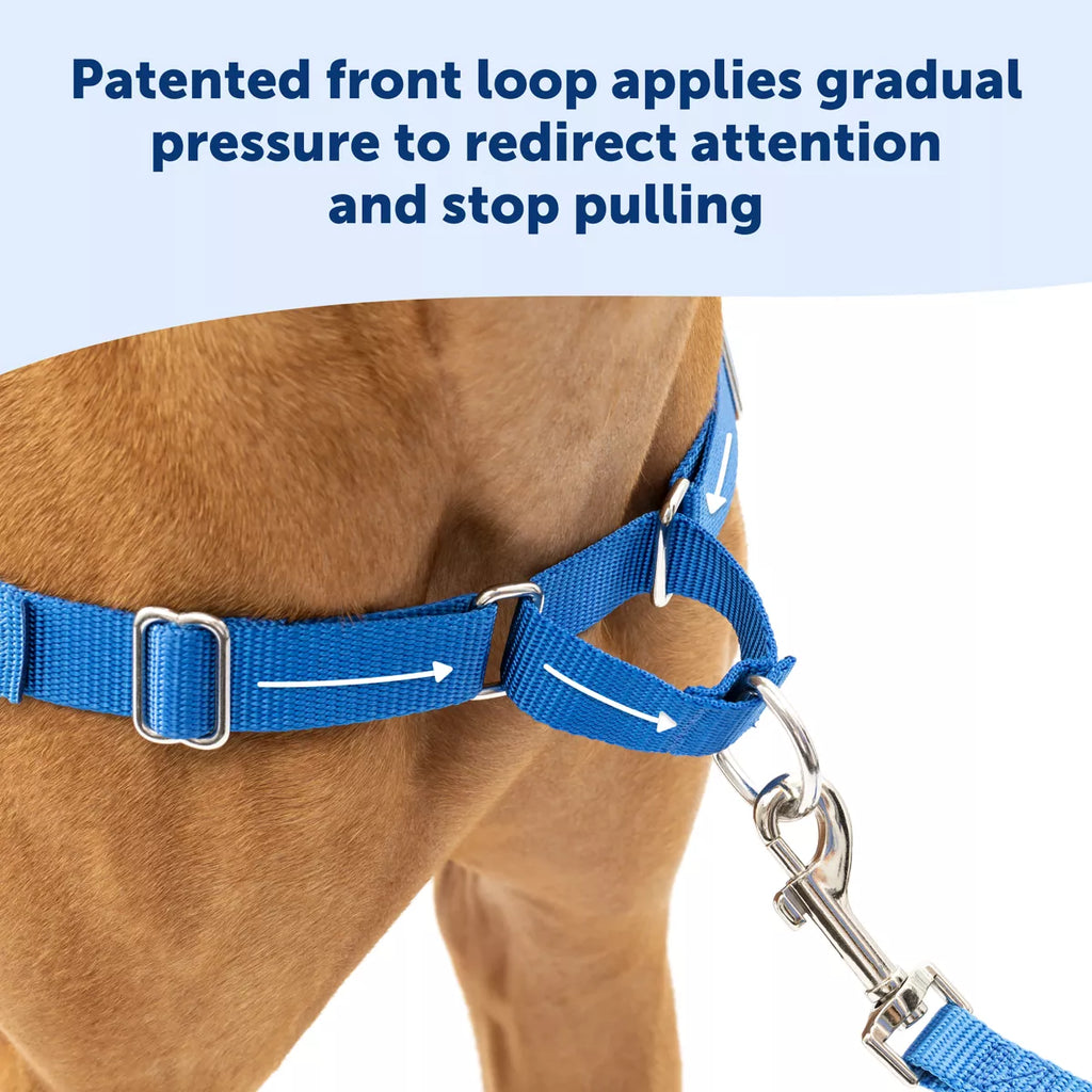 PetSafe Easy Walk Dog Harness - view 3