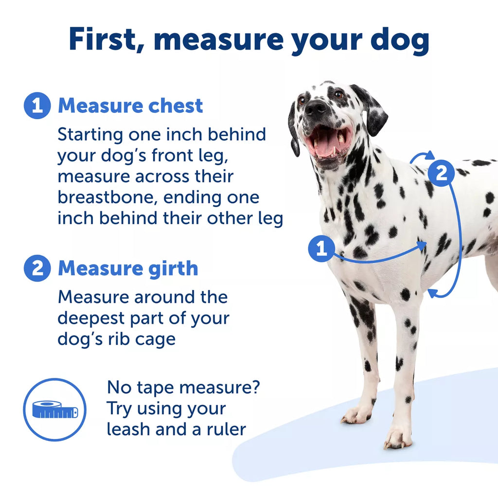 PetSafe Easy Walk Dog Harness - view 4