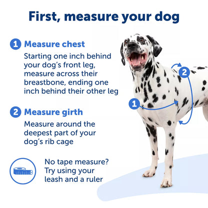 PetSafe Easy Walk Dog Harness - view 4