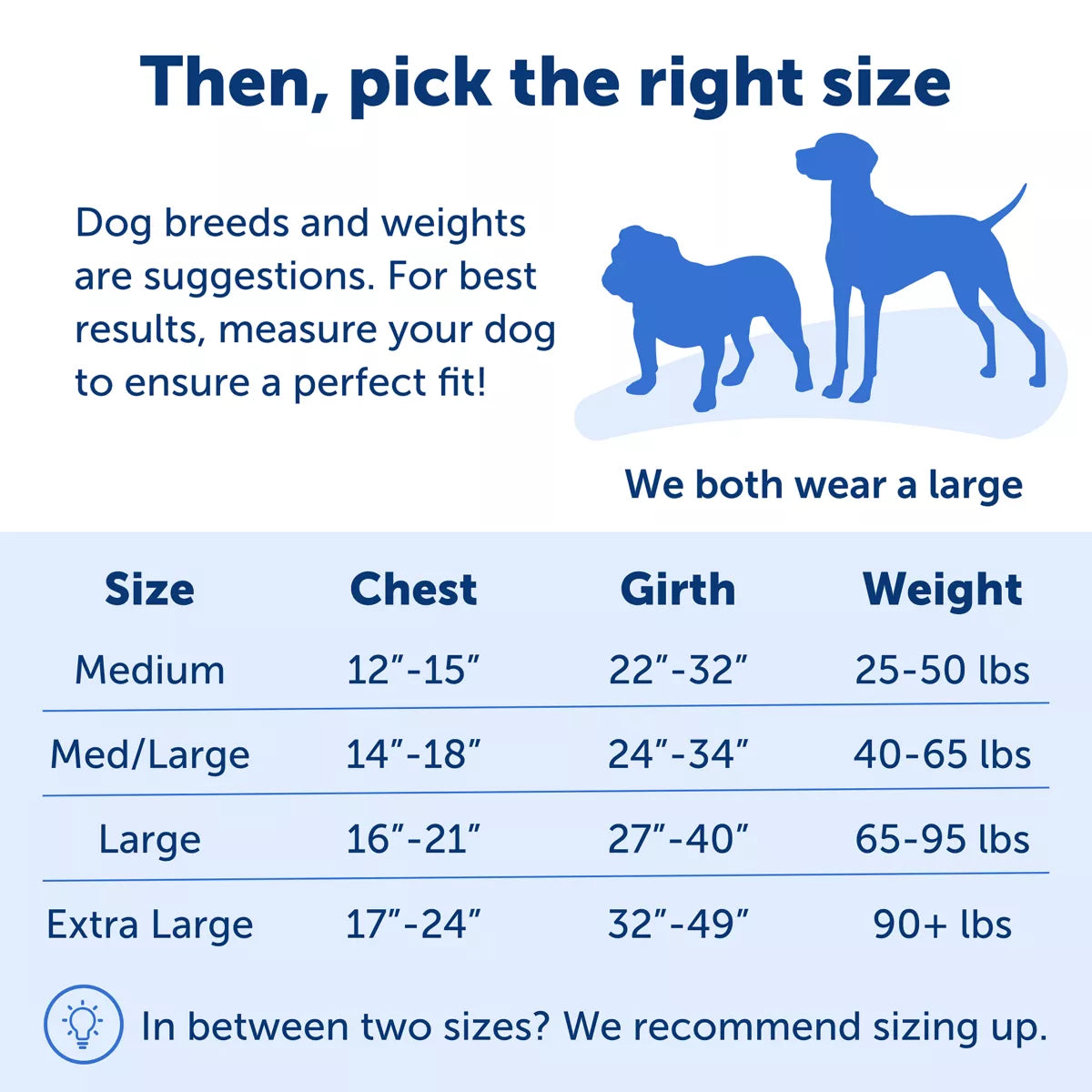 PetSafe Easy Walk Dog Harness - view 5