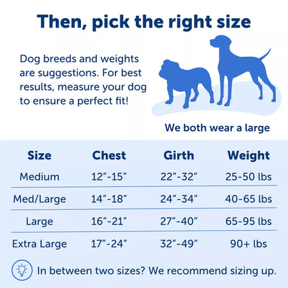PetSafe Easy Walk Dog Harness - view 5