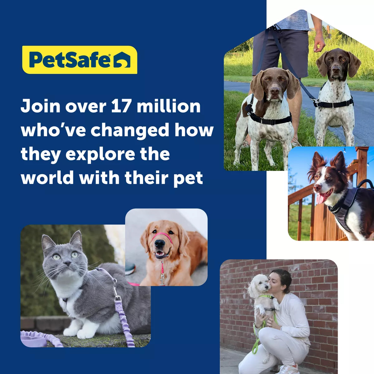 PetSafe Easy Walk Dog Harness - view 6