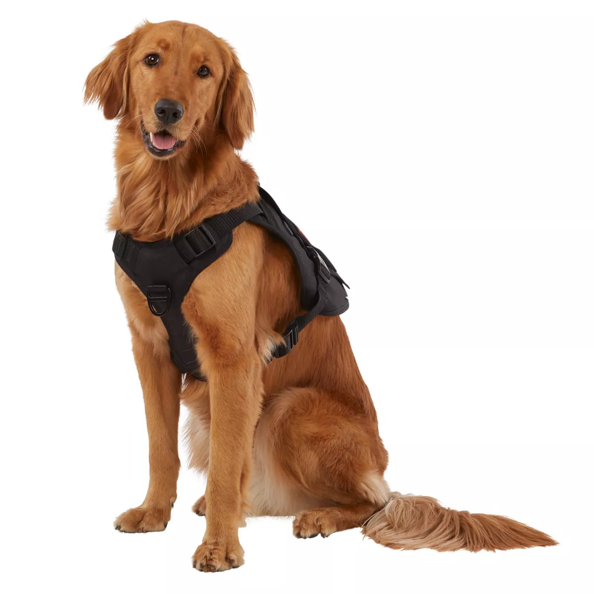 KONG Tactical Vest Dog Harness - view 2