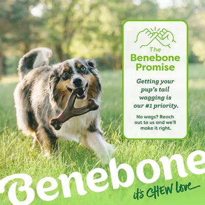 Benebones Benebone Wishbone Durable Dog Chew Toy, Bacon Flavored, Small