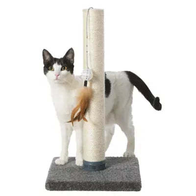 Whisker City® Cat Scratching Post with Catnipi, Sisal, Gray 21.75in tall