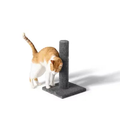 Whisker City® 19-in Gray Carpet Cat Scratching Post