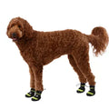 Arcadia Trail™ Year-Round All-Terrain Dog Booties