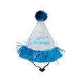 Life of the Party® Birthday Hat
