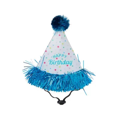 Life of the Party® Birthday Hat