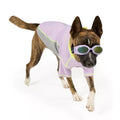 Arcadia Trail® UV Goggles