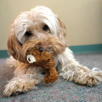 KONG® Teddy Bear Plush Squeaker Dog Toy
