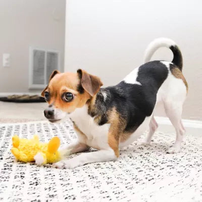 KONG® Duck Plush Squeaker Dog Toy