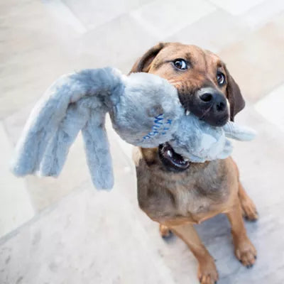 KONG® Wubba™ Friends Plush Squeaker Dog Toy (Character Varies)
