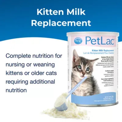 PetAg® PetLac™ Kitten Milk Replacement Powder, 10.5 oz