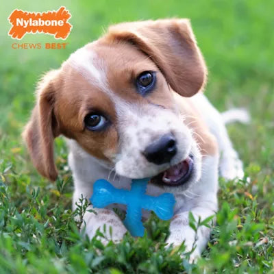 Nylabone® Puppy X-Bone Teething Dog Toy