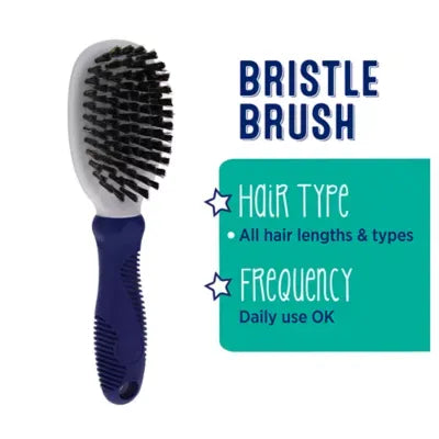 Whisker City® Soft Bristle Cat Grooming Brush