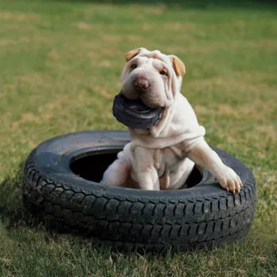 KONG® Tires Heavy-Duty Chew Dog Toy