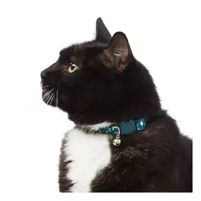 Whisker City® Astrology Cat Collar, Blue Kitten & Cat Collar, Break-Away Cat Collar, Adjustable
