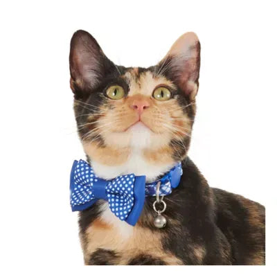 Whisker City® Blue Plaid Cat Collar, Easy Release Cat Collar, Breakway Collar, Kitten, Blue