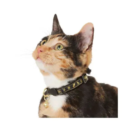 Whisker City® Black & Gold Cat Collar, Easy Release Cat Collar, Breakaway Collar, Kitten