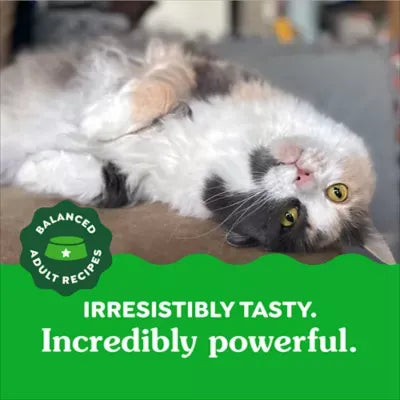 Greenies Feline Oven Roasted Dental Adult Cat Treats - Chicken