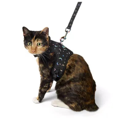Whisker City® Black Moon Cat Harness and Leash Combo Set