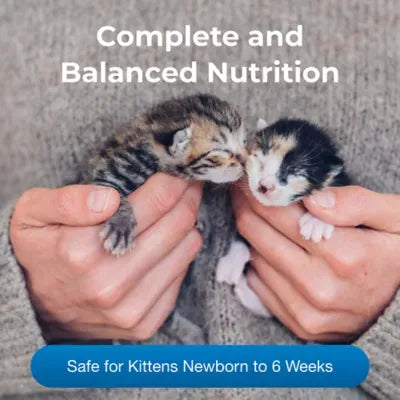 PetAg® PetLac™ Kitten Milk Replacement Powder, 10.5 oz