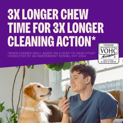 WHIMZEES Brushzees Extra Small Dental Dog Treat - Natural, Grain Free