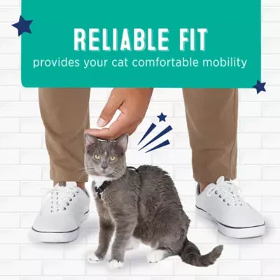 Whisker City® Basic Cat Harness, Adjustable Cat Harness, Adjustable Kitten Harness, Black