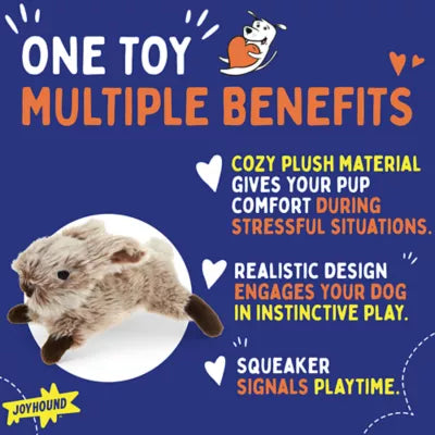 Joyhound® Crazy Comfy Realistic Rabbit Plush Squeaker Dog Toy