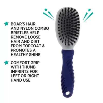 Whisker City® Soft Bristle Cat Grooming Brush