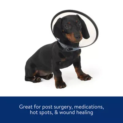 Dog MX Plastic E-Collar Dog Cone, Post-Surgery and Hot Spot Recovery Collar, Clear, Multiple Sizes