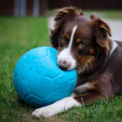 Jolly Pets Soccer Ball Dog Toy