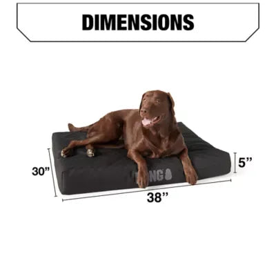 KONG® Orthopedic Durable Dog Bed with Water-Resistant Cover, Multiple Colors, 38L x 30W