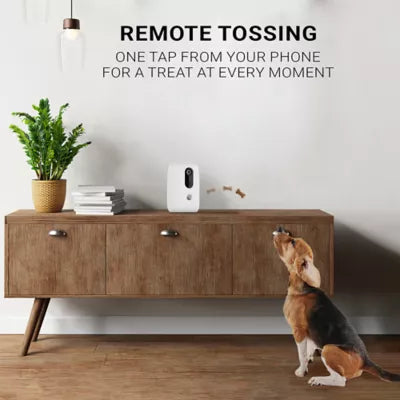Instachew Purechew Dog and Cat Automatic Treat Dispenser and Motion Sensor Monitoring Camera