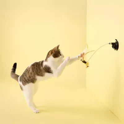 Playology Suction Cup Spring Bird Cat Toy