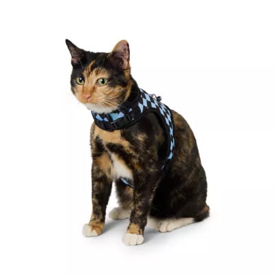 Whisker City® Cat Leash & Cat Harness, Combo, Kitten Size Available, Blue Checkered