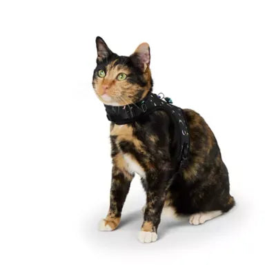 Whisker City® Black Moon Cat Harness and Leash Combo Set
