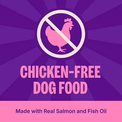 Wellness CORE+ Sensitive Skin & Stomach Adult Dry Dog Food - Salmon & Rice