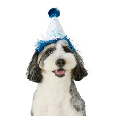 Life of the Party® Birthday Hat