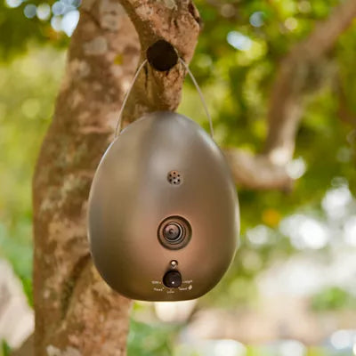 Sunbeam Ultrasonic Egg Dog Bark Control Device - up to 50 ft range