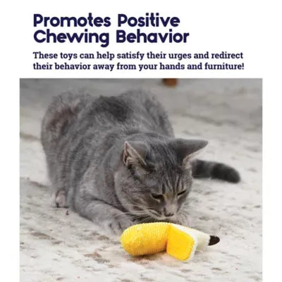 Catstages Catnip Dental Banana Teether Cat Toy