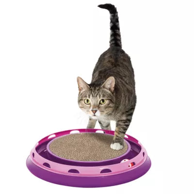Whisker City® Ball Track & Scratcher Cat Toy