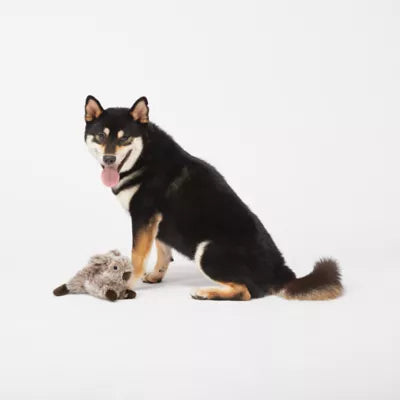 Joyhound® Crazy Comfy Realistic Rabbit Plush Squeaker Dog Toy