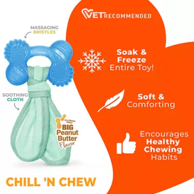 Nylabone® Puppy Teething Freezer Chew Dog Toy, Peanut Butter Flavor