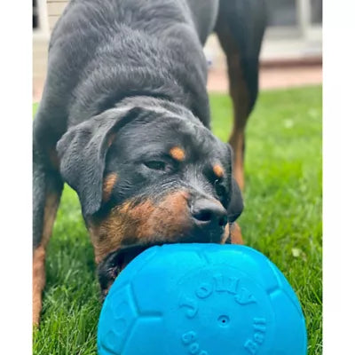 Jolly Pets Soccer Ball Dog Toy