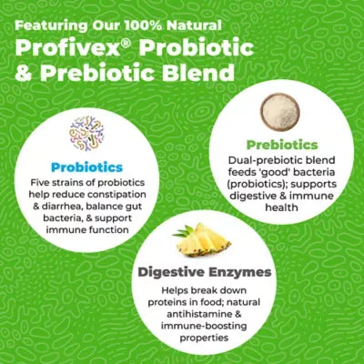 Glandex® Daily Prebiotic & Probiotic Digestive Health Soft Chews for Dogs - Bacon, 60 count